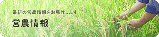 営農情報